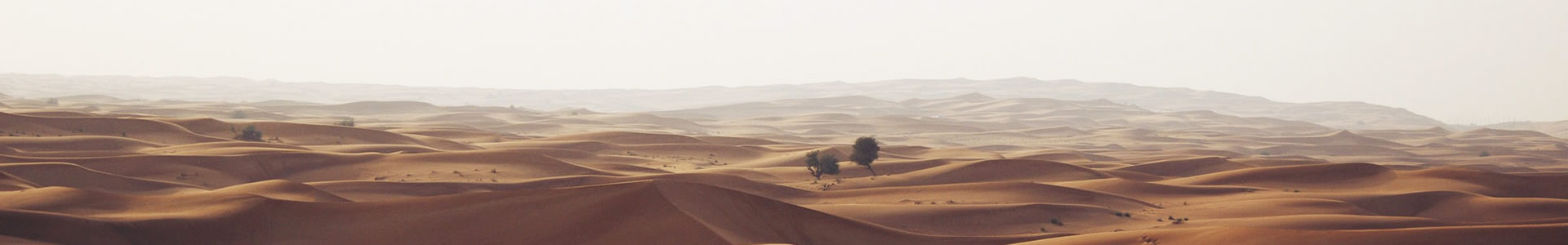 ʹƼ޹˾